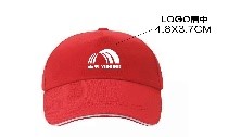 中国·18luck新利集团(股份)有限公司-官方网站